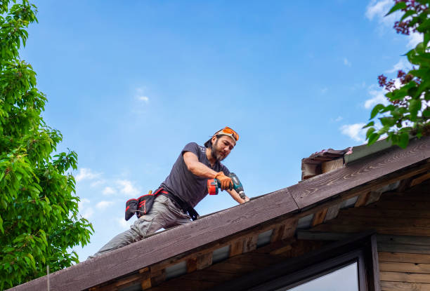 Best Rubber Roofing (EPDM, TPO)  in Ivyland, PA